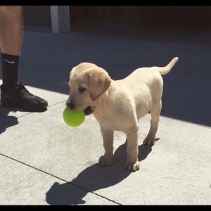 Meet your Posher, Jonny